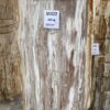 Grafsteen versteend hout 55322