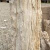 Grafsteen versteend hout 55322