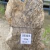 Grafsteen versteend hout 55323