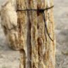 Grafsteen versteend hout 55325