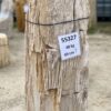 Grafsteen versteend hout 55327