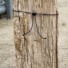 Grafsteen versteend hout 55327