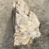 Lápida madera petrificada 54177