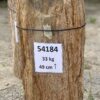 Lápida madera petrificada 54184