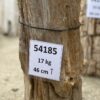 Lápida madera petrificada 54185