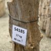 Lápida madera petrificada 54185