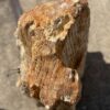 Lápida madera petrificada 54192