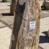 Lápida madera petrificada 54202