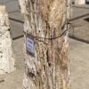 Lápida madera petrificada 54202