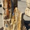 Lápida madera petrificada 54203
