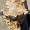 Lápida madera petrificada 54203