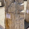 Lápida madera petrificada 54205