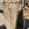 Lápida madera petrificada 54205