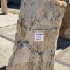 Lápida madera petrificada 54208