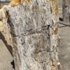 Lápida madera petrificada 54208