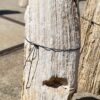 Lápida madera petrificada 54288