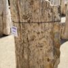 Lápida madera petrificada 54292
