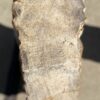 Lápida madera petrificada 54292
