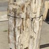 Lápida madera petrificada 54292