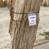 Lápida madera petrificada 55034