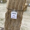 Lápida madera petrificada 55034