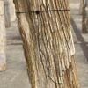 Lápida madera petrificada 55034