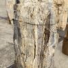 Lápida madera petrificada 55035