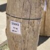 Lápida madera petrificada 55043