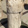 Lápida madera petrificada 55043