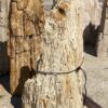 Lápida madera petrificada 55046