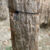 Lápida madera petrificada 55047