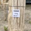 Lápida madera petrificada 55068