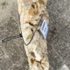 Lápida madera petrificada 55069