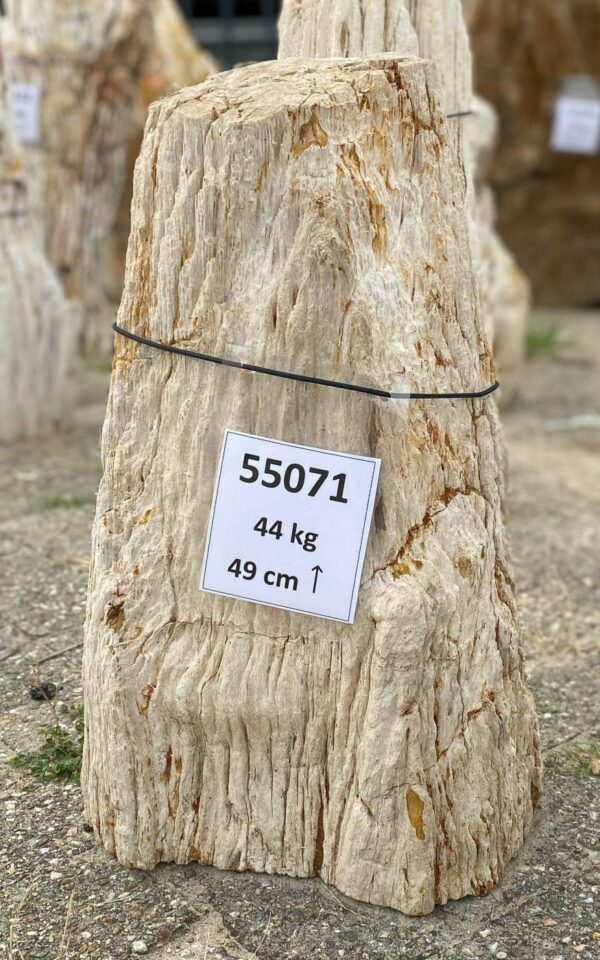 Lápida madera petrificada 55071