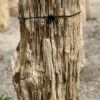 Lápida madera petrificada 55075