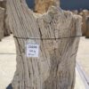 Lápida madera petrificada 55090