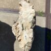Lápida madera petrificada 55090