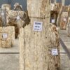 Lápida madera petrificada 55093