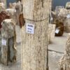 Lápida madera petrificada 55093