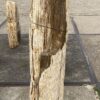 Lápida madera petrificada 55093