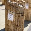 Lápida madera petrificada 55094