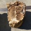 Lápida madera petrificada 55094