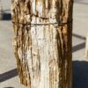 Lápida madera petrificada 55094