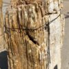Lápida madera petrificada 55094