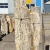 Lápida madera petrificada 55095