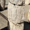 Lápida madera petrificada 55109