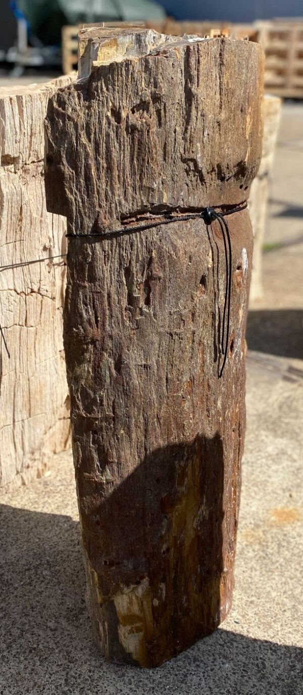 Lápida madera petrificada 55111