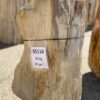 Lápida madera petrificada 55114