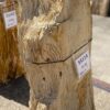 Lápida madera petrificada 55114