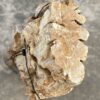 Lápida madera petrificada 55117